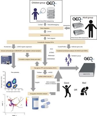 Novel insights into the immune cell landscape and gene signatures in autism spectrum disorder by bioinformatics and clinical analysis